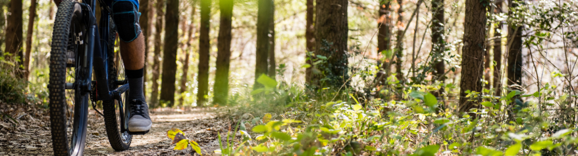 Mountainbiker fährt auf einem Weg im Wald